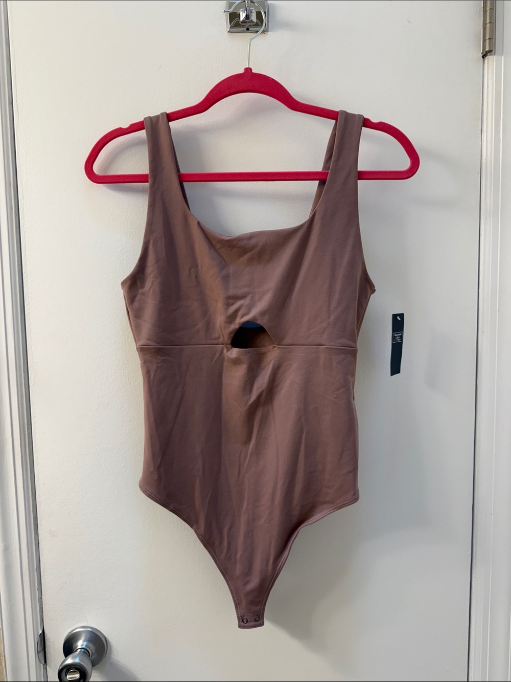 Abercrombie & Fitch Mauve Brown Scoop-Front Bodysuit